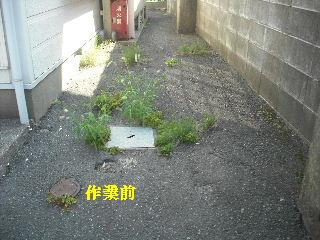 賃貸物件・・二ヵ所_f0031037_19303375.jpg