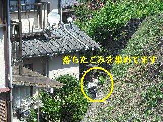 賃貸物件・・二ヵ所_f0031037_19491180.jpg