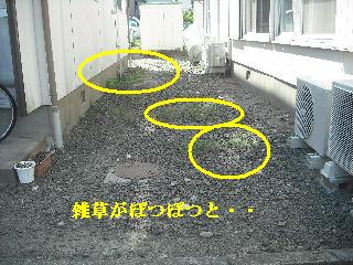 賃貸物件・・二ヵ所_f0031037_19582820.jpg