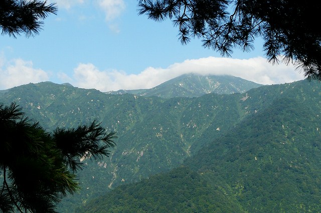 大日杉から五段山経由で地蔵山（８月２２日）_f0003138_1035226.jpg