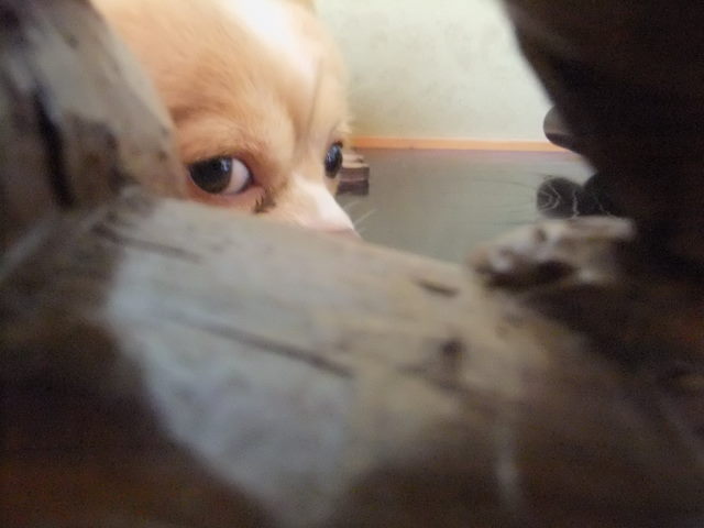 f0210340_1758221.jpg