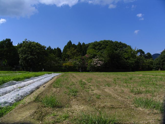 な〜〜んにもなかった嵯峨野_d0027244_11131215.jpg