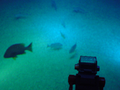 e0005548_20122922.jpg