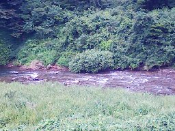 2010年徳山村キャンプ-3_f0197754_23233185.jpg