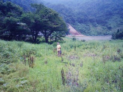 2010年徳山村キャンプ-3_f0197754_2323419.jpg