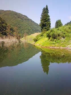 ２０１０年徳山村キャンプ－３_f0197754_23255552.jpg