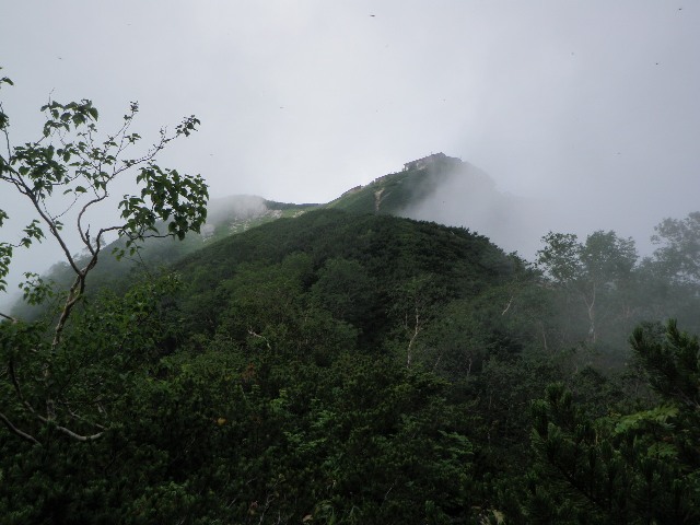 d0007657_8464677.jpg