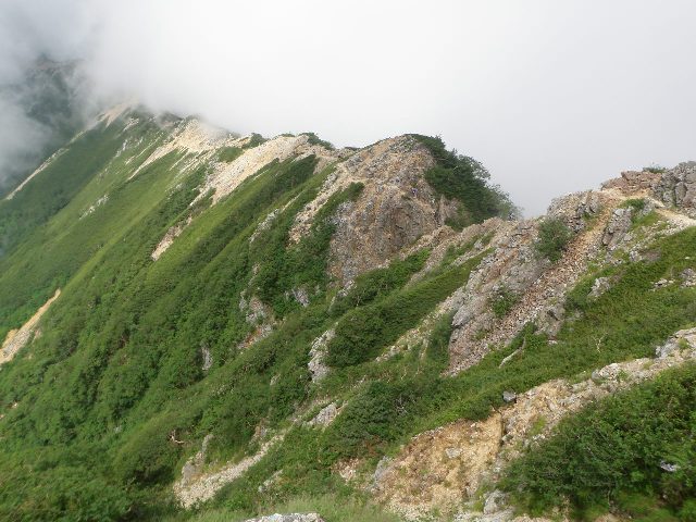 d0007657_856204.jpg