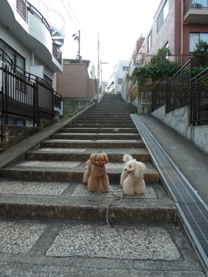 2010.8.23 休日はいそがしい。やることいっぱい。_a0083571_9464034.jpg