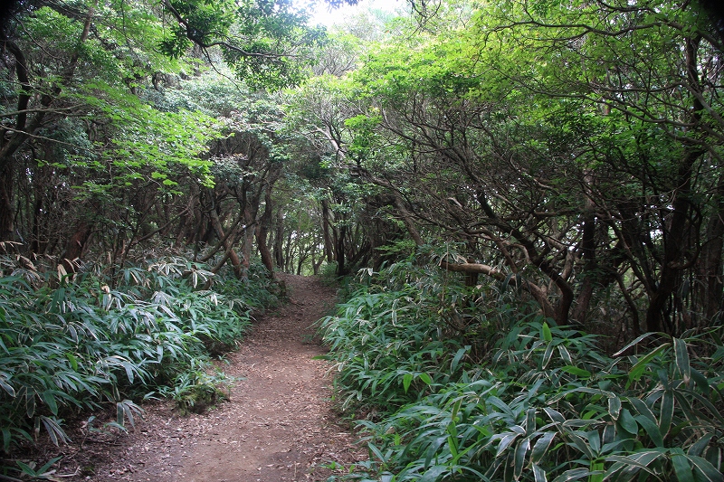e0024081_16283584.jpg