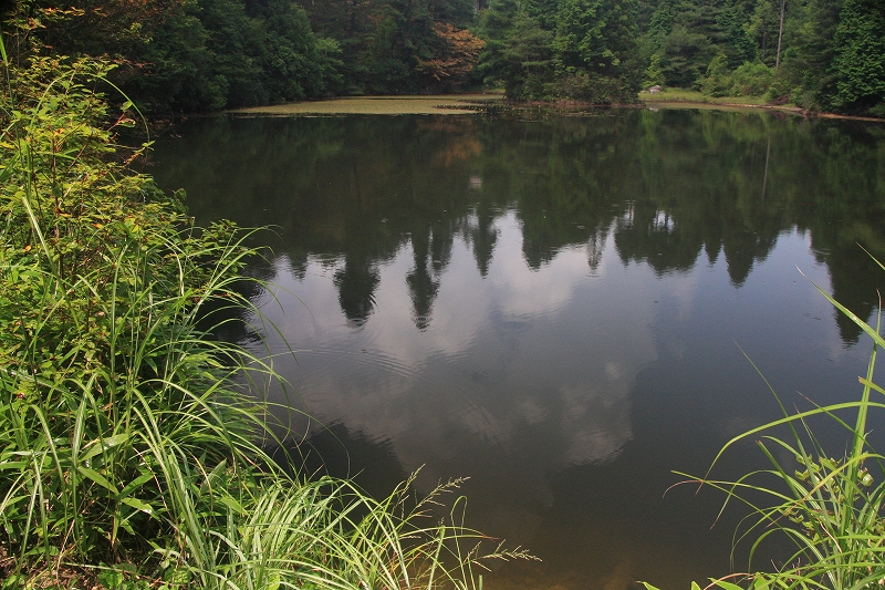 e0024081_16302926.jpg