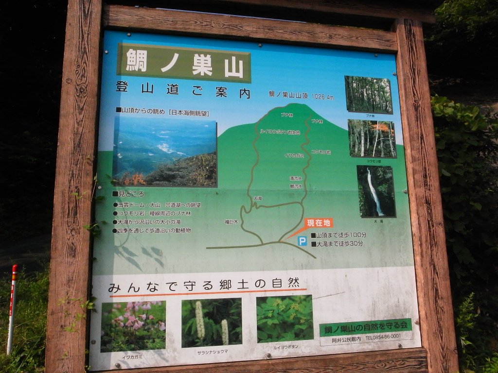 鯛の巣山_a0076683_2001139.jpg