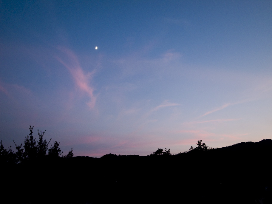 b0066383_24477.jpg