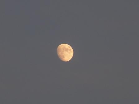 f0163383_95893.jpg
