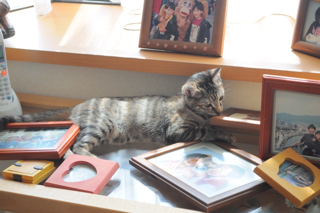 かぼちゃんとつーちゃんの日曜日_a0126590_817833.jpg