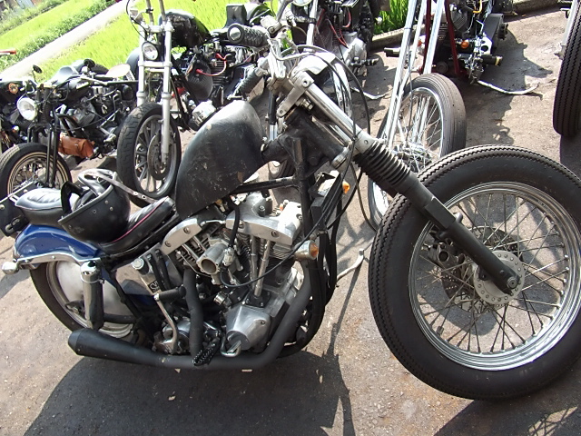 SUNDAY CYLA _a0165898_1575348.jpg