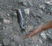 c0186001_0363683.jpg