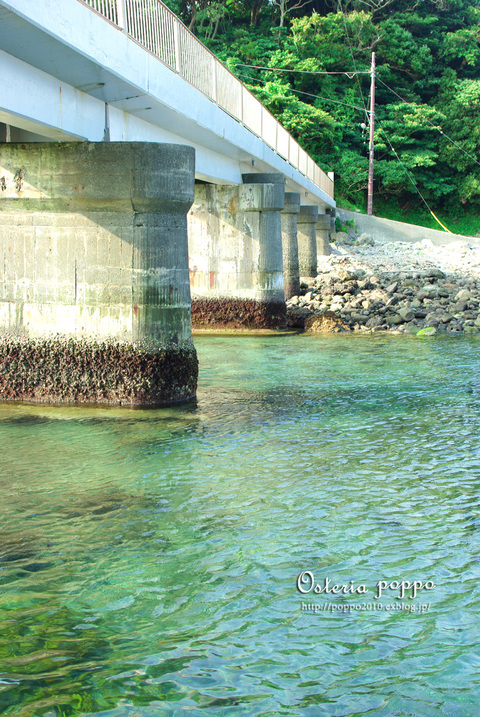 下田　恵比須島で磯遊び＆BBQ!_d0159001_23283431.jpg