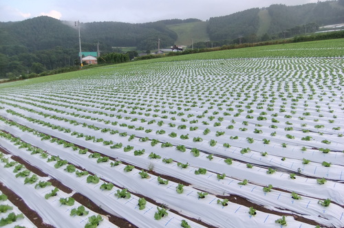 夏休みのお出かけ　その２　菅平高原_f0101201_22193273.jpg