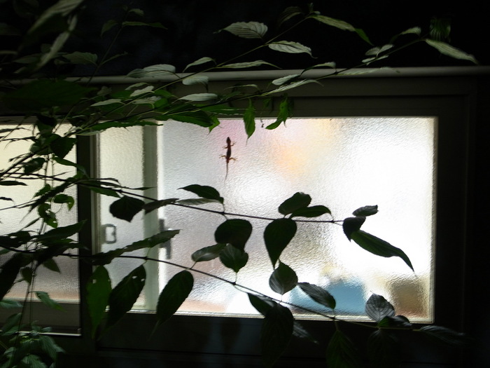 f0223603_849597.jpg