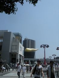 黄金ちゃん_f0218407_1357065.jpg