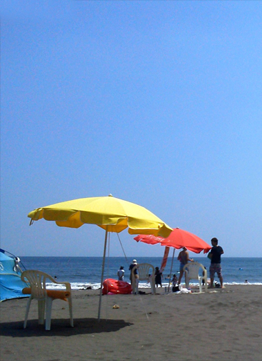 a0133810_23284220.jpg