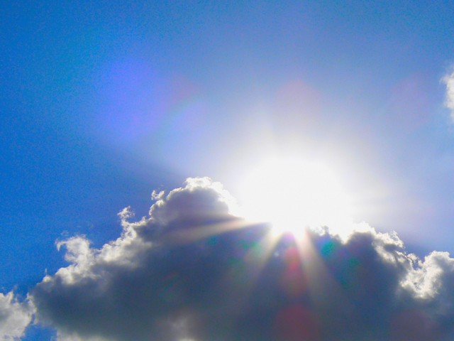 b0177816_1425674.jpg