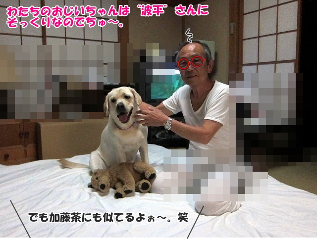 続報♪_e0192217_16273165.jpg