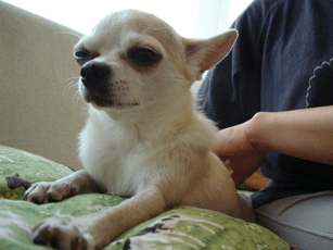 f0232522_18154438.gif
