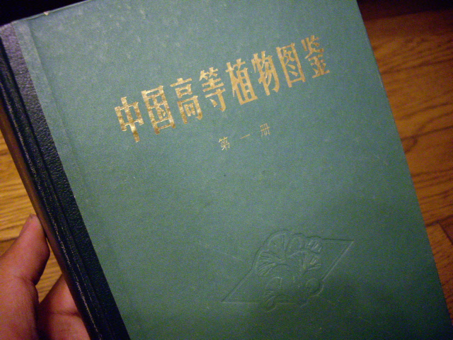 d0150727_2112851.jpg