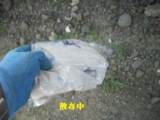 除草剤散布他_f0031037_18532846.jpg