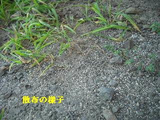 除草剤散布他_f0031037_18535445.jpg