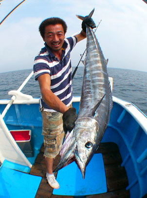 志摩沖 ハナパーSF カジキ情報 【カジキ・マグロトローリング】_f0009039_91957.jpg
