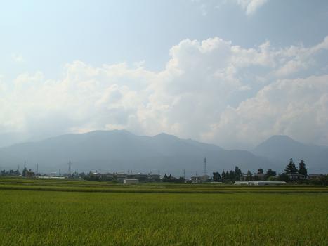 季節の変化_a0014840_2250747.jpg
