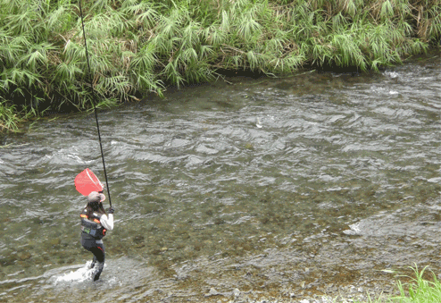 a0056140_1630214.gif