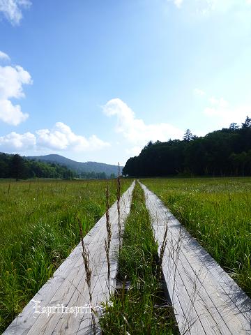 f0142141_03663.jpg