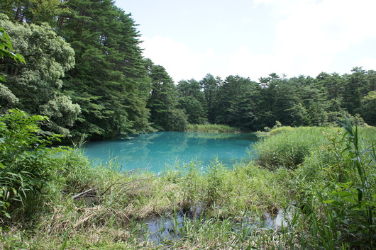 避暑旅行　　裏磐梯～妙高高原編　二日目_f0128542_0154596.jpg