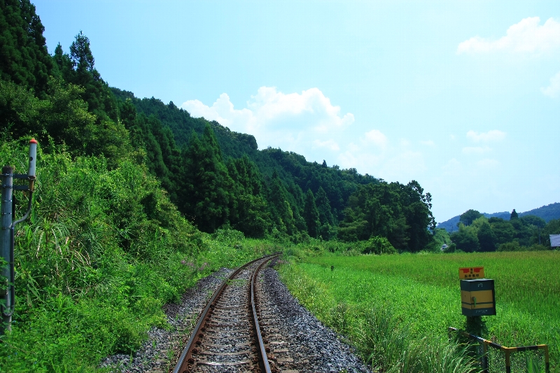 c0122445_18474814.jpg