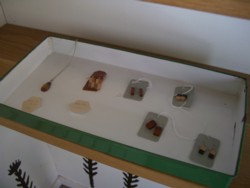 e0159349_2137375.jpg