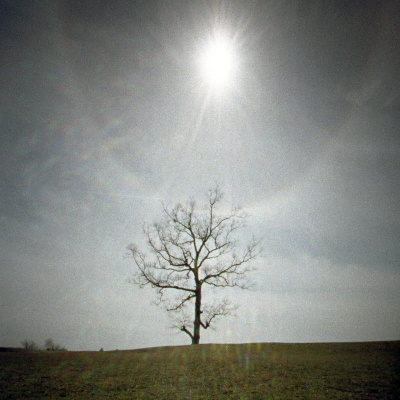 b0202651_23245528.jpg