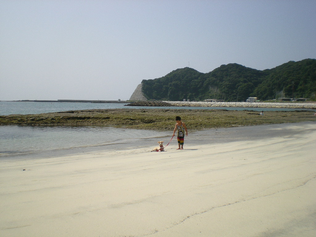 2010年8月24日(火)海と子供と子犬!_f0060461_9173771.jpg