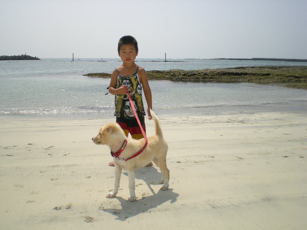 2010年8月24日(火)海と子供と子犬!_f0060461_9183722.jpg