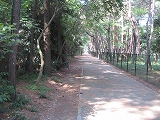 a0093965_2038195.jpg