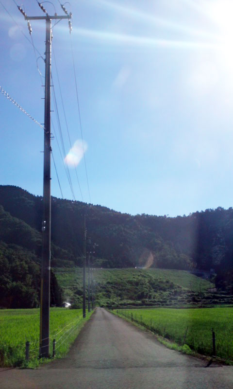 【奈良店アシスタント清水】大自然♪_c0080367_1174561.jpg