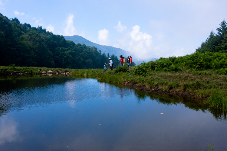 高原の夏・続き。_b0022268_2140728.jpg