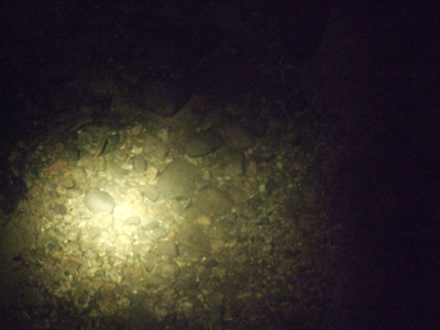 d0094868_2117196.gif