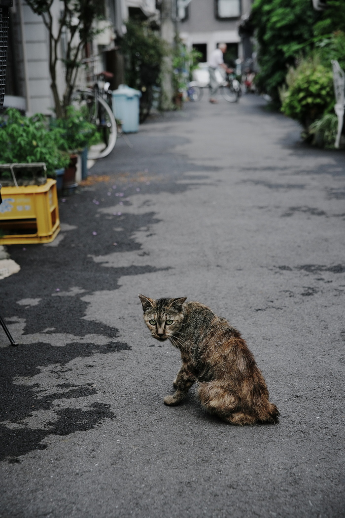 中崎町スナップ_f0021869_23342546.jpg