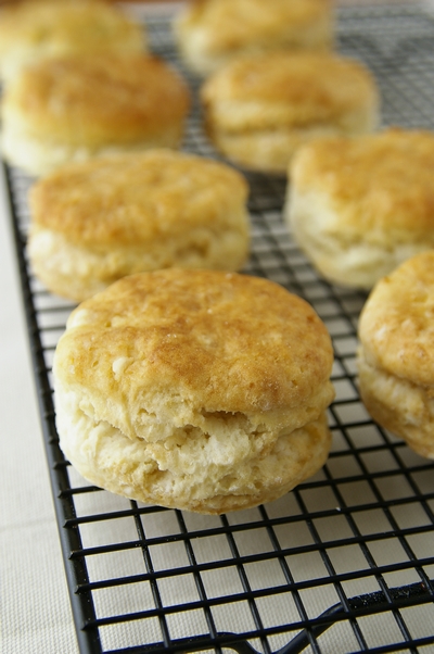 バターミルク･ビスケット　　Buttermilk Biscuits_d0166271_22521517.jpg