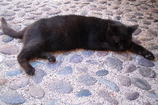 フレスコバルディの家_a0169172_0532697.jpg
