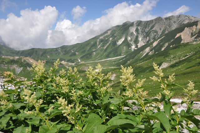絶景が見れる!立山黒部アルペンルートの旅_e0171573_22163970.jpg